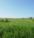 Costa di Sedrio - Vezzano sul Crostolo